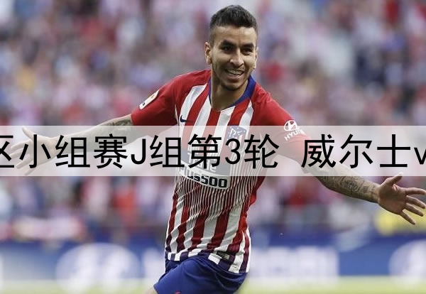 06月07日 世预赛欧洲区小组赛J组第3轮 威尔士vs列支敦士登 全场录像