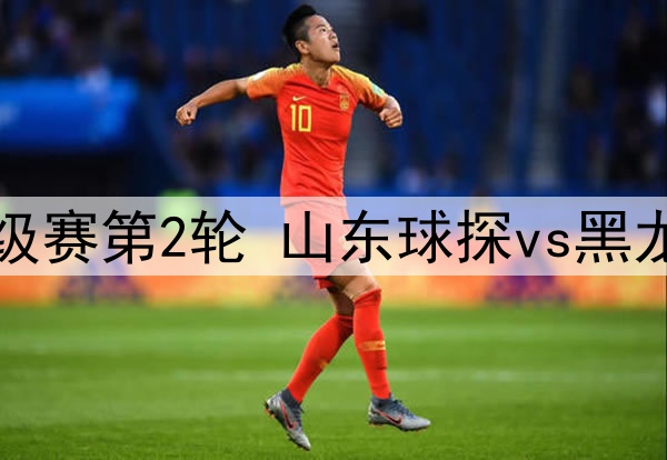 06月15日 中冠区域晋级赛第2轮 山东球探vs黑龙江龙跃冰城 全场录像