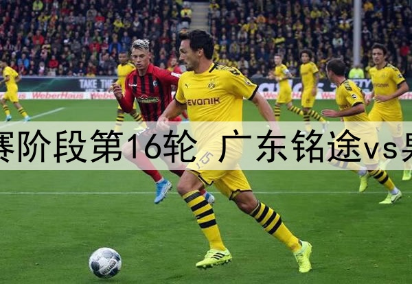 06月27日 中乙预赛阶段第16轮 广东铭途vs泉州亚新 全场录像