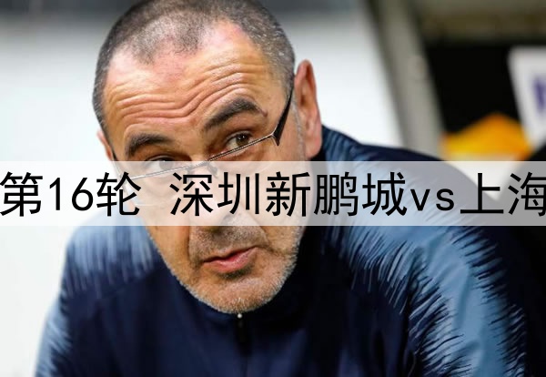 06月30日 中超第16轮 深圳新鹏城vs上海海港 全场录像
