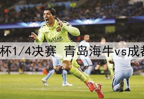 2025年7月23日 足协杯1/4决赛 青岛海牛vs成都蓉城 全场录像回放