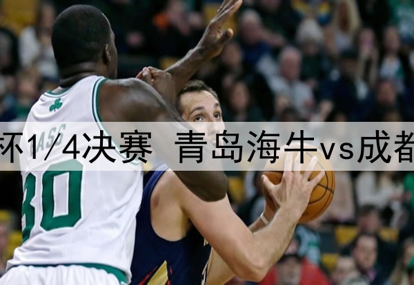 07月23日 足协杯1/4决赛 青岛海牛vs成都蓉城 全场录像