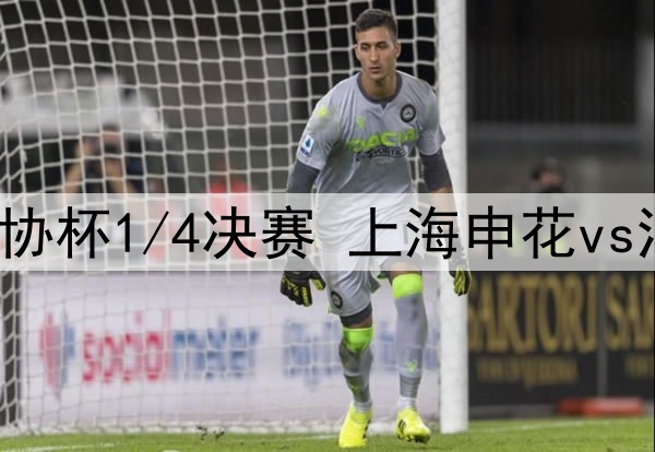 2025年7月23日 足协杯1/4决赛 上海申花vs河南 全场录像回放