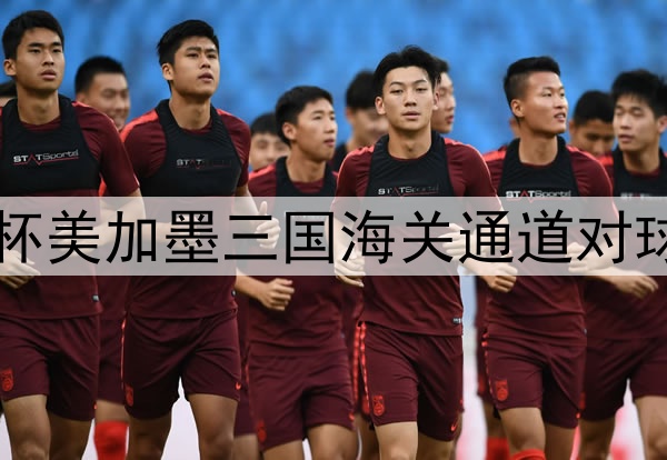 1488. 2026年世界杯美加墨三国海关通道对球队装备运输的时效