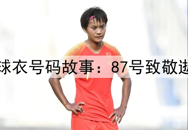 世界杯球衣号码故事：87号致敬逝去队友