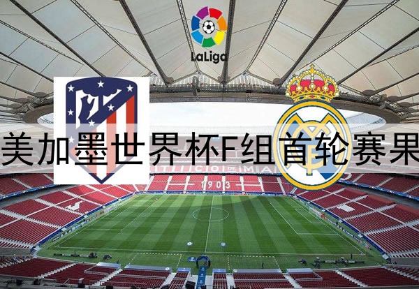 2026美加墨世界杯F组首轮赛果速递